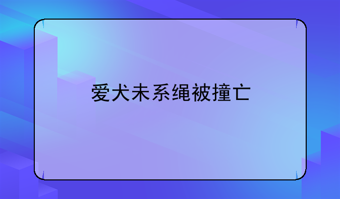 爱犬未系绳被撞亡