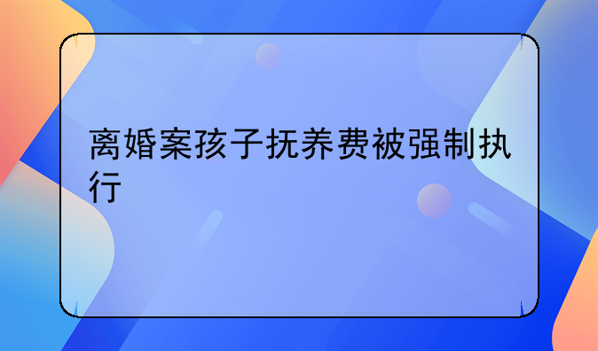 离婚案孩子抚养费被强制执行