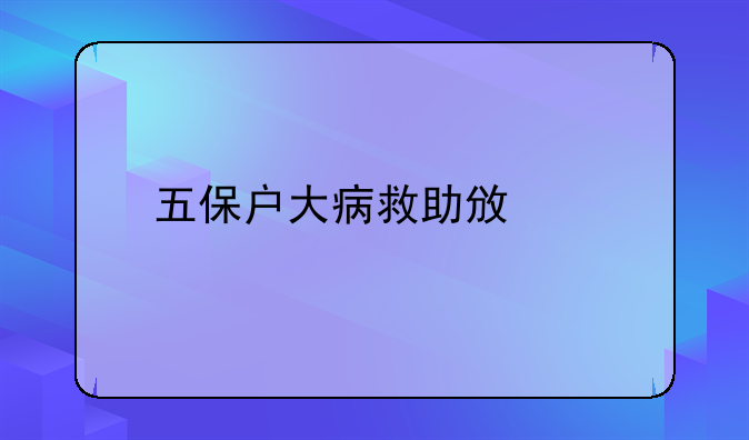 五保户大病救助政策