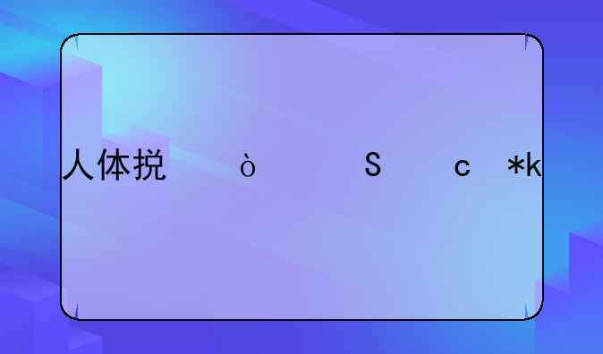 人体损伤赔付抚养费