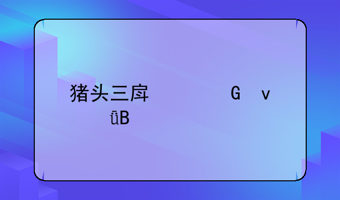 猪头三房产网靠谱吗