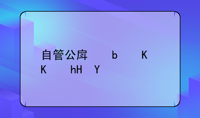 自管公房是什么意思