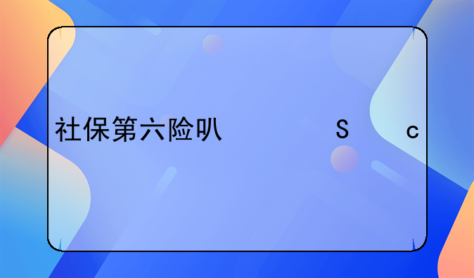 社保第六险可以赔付什么