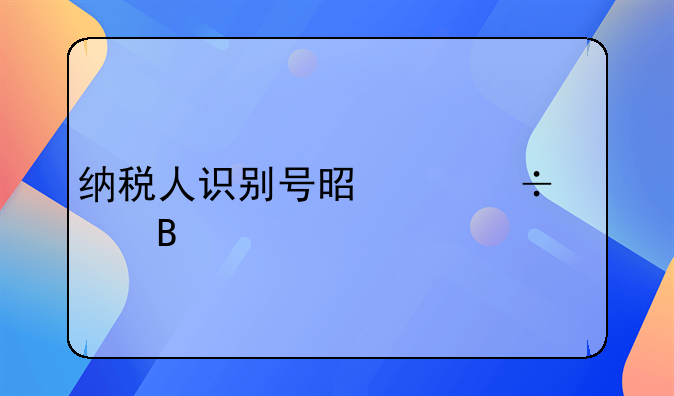 纳税人识别号是身份证吗