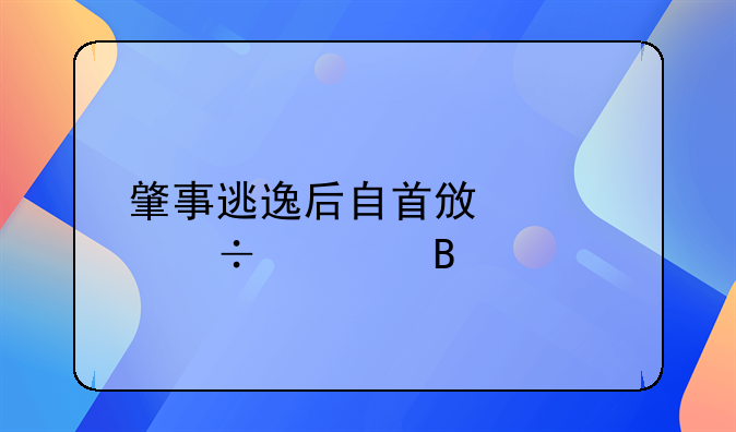 肇事逃逸后自首政审能过吗