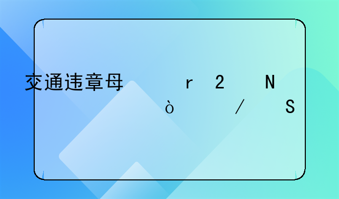 交通违章每个地区哪一年开始联网