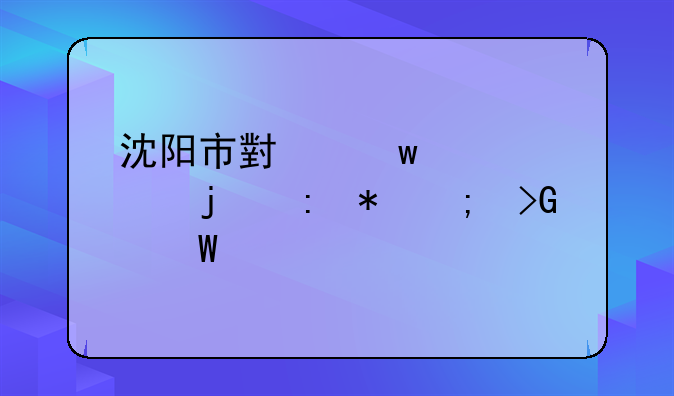 沈阳市小额贷款的现状与发展前景