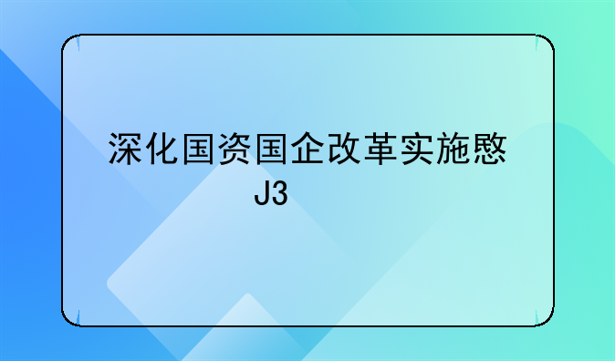 深化国资国企改革实施意见和建议