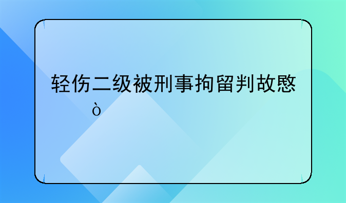 轻伤二级被刑事拘留判故意伤害罪