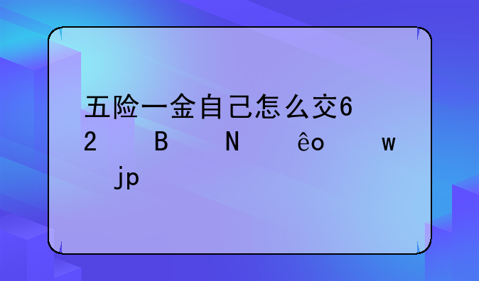 五险一金自己怎么交?包含哪些保障?