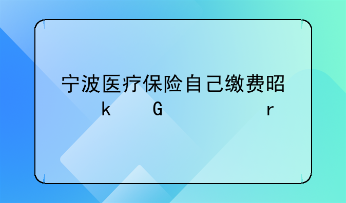 宁波医疗保险自己缴费是多少一个月