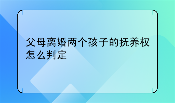 父母离婚两个孩子的抚养权怎么判定