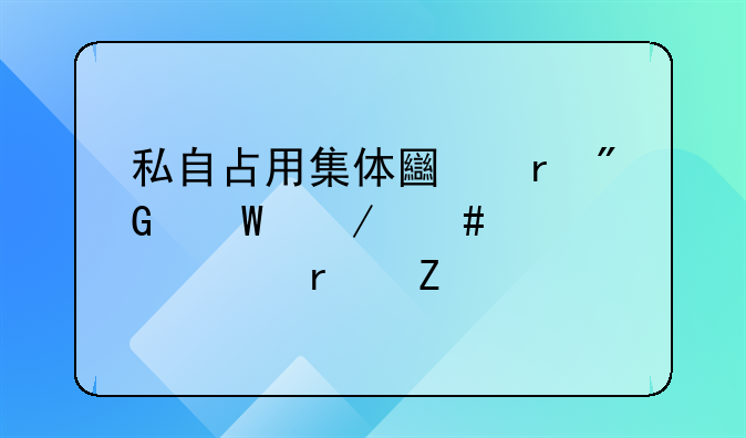 私自占用集体土地刑法立案标准最新