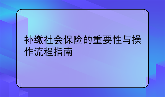 补缴社会保险的重要性与操作流程指南