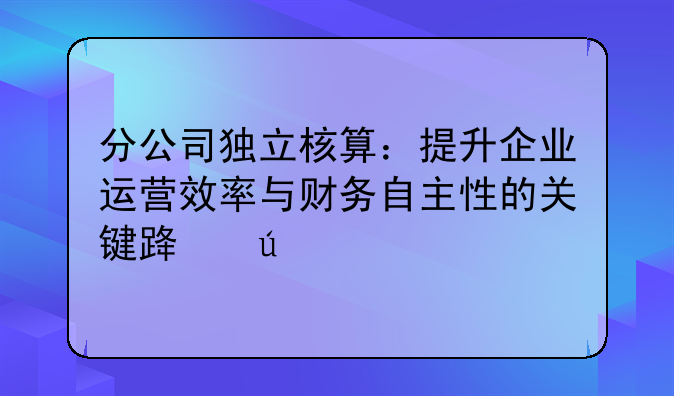 分公司独立核算：提升企业运营效率与财务自主性的关键路径