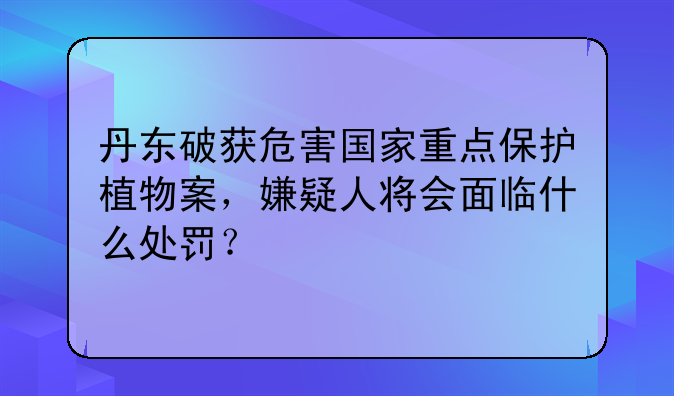丹东破获危害国家重点保护植物案，嫌疑人将会面临什么处罚？