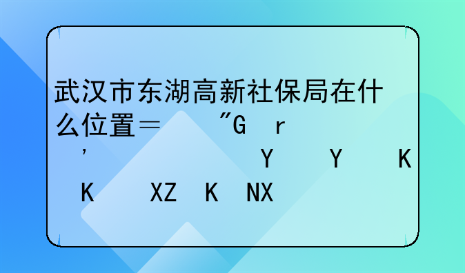 武汉市东湖高新社保局在什么位置？我在光谷广场,坐什么公交到？哪.