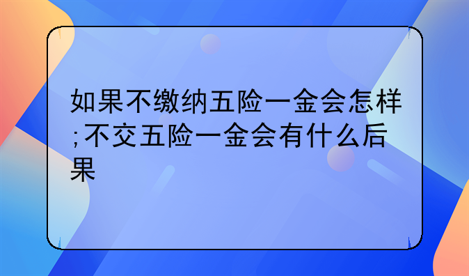 如果不缴纳五险一金会怎样;不交五险一金会有什么后果